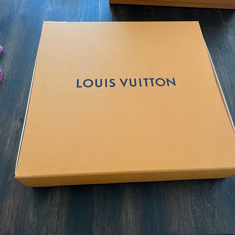 Louis Vuitton storage box